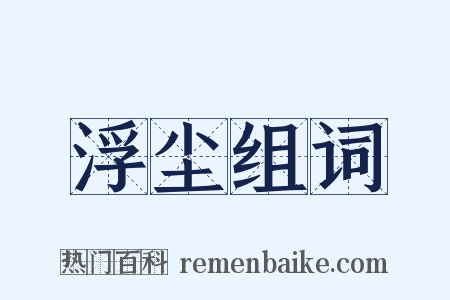 浮尘组词是什么意思的图片